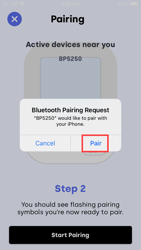 bp5250-pairprompt.PNG