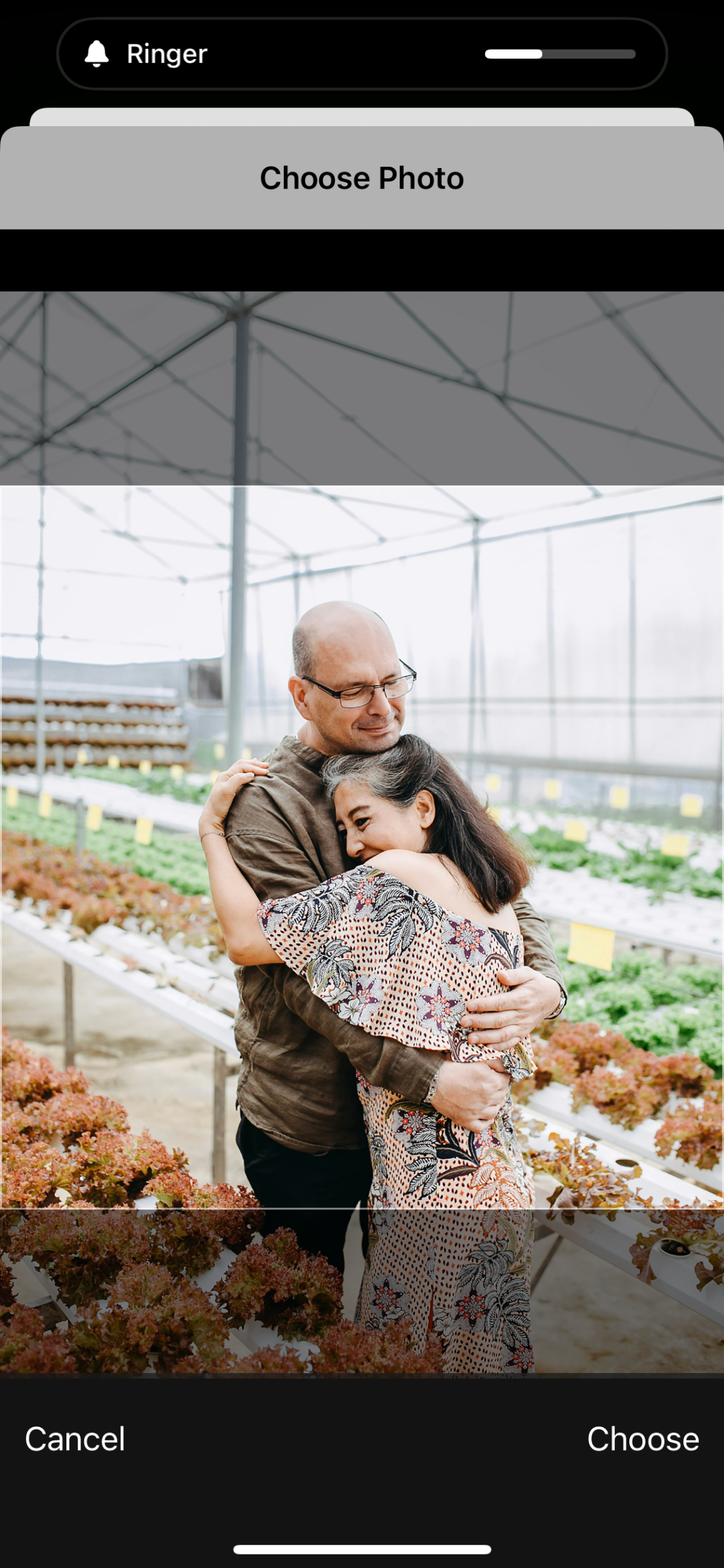 System Photo Selection 2.png